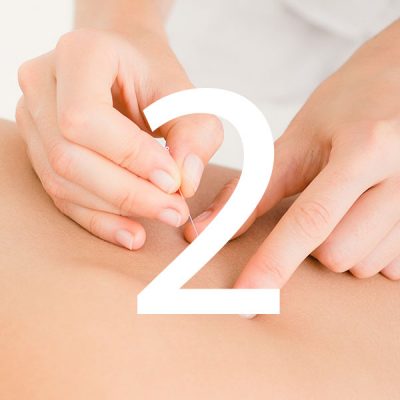 Comprar lección 2 curso de Acupuntura y MTC 2