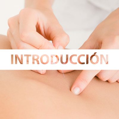 Comprar introducción al curso de Acupuntura y MTC 2