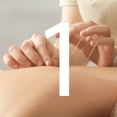 Comprar Módulo 1 curso de Acupuntura y MTC 3