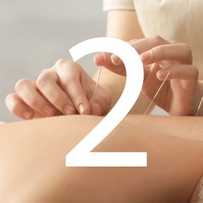 Comprar Módulo 2 curso de Acupuntura y MTC 3