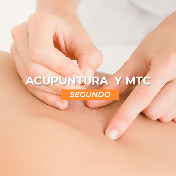 Comprar Curso Completo de Acupuntura y MTC 2