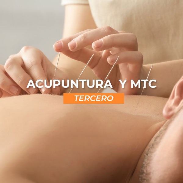 Comprar Curso Completo de Acupuntura y MTC 3
